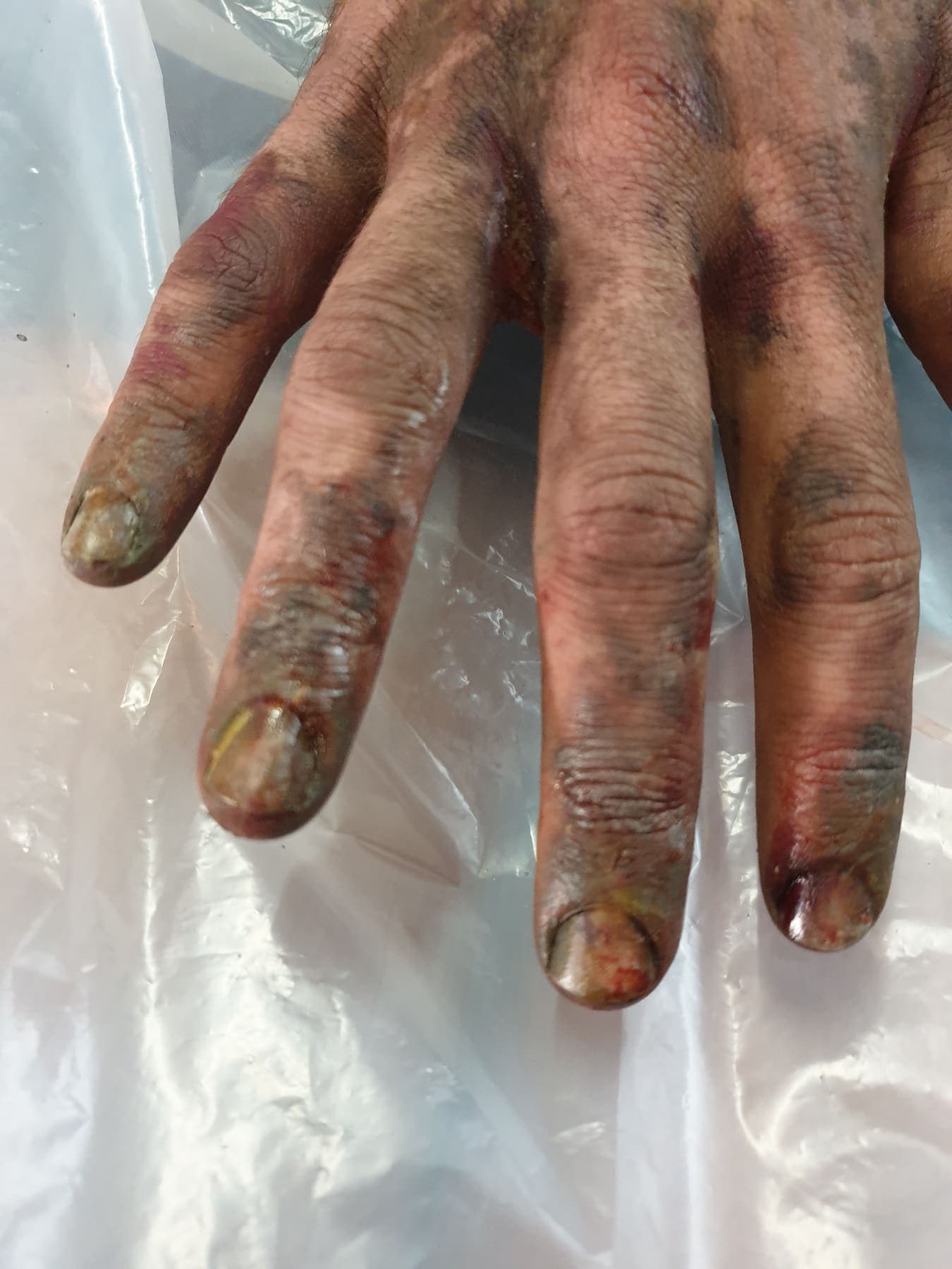 Scary Effect by Amy Morgenrood, Cape Town sfx & prosthetics makeup portfolio