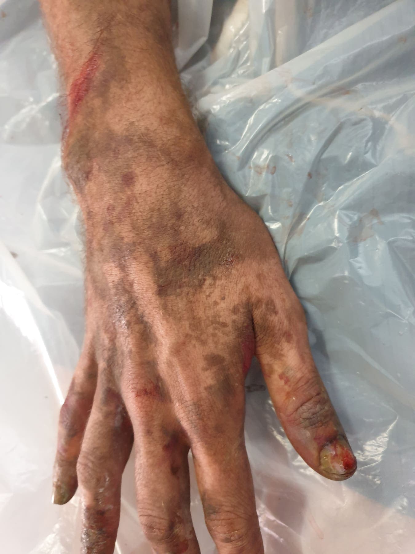 Gore Design by Amy Morgenrood, Cape Town sfx & prosthetics makeup portfolio