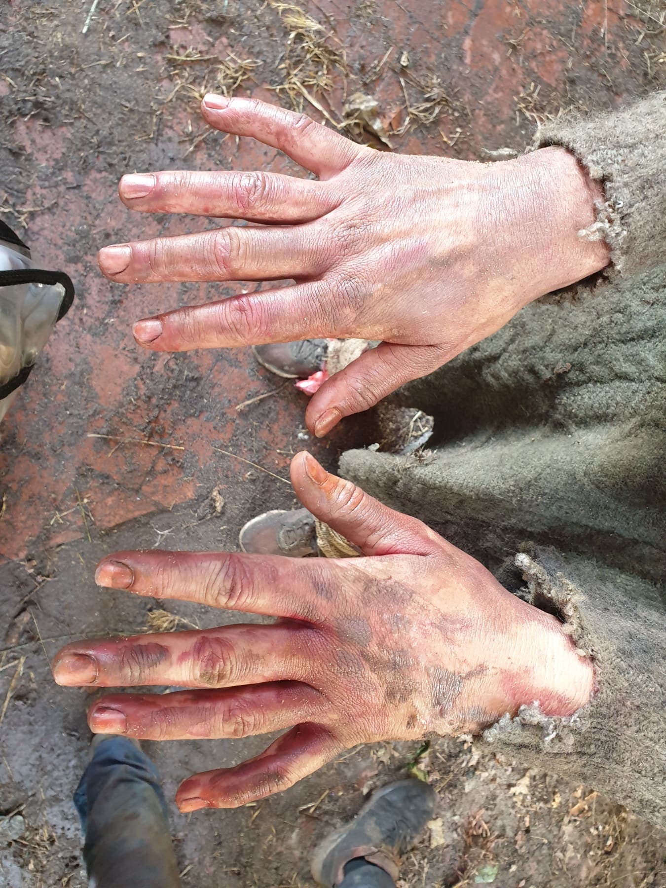 Creature SFX by Amy Morgenrood, Cape Town sfx & prosthetics makeup portfolio